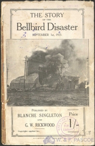 The Story of the Bellbird Disaster